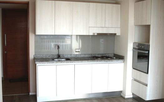 Arriendo céntrico Departamento en Concepción